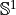 \mathbb{S}^{1}